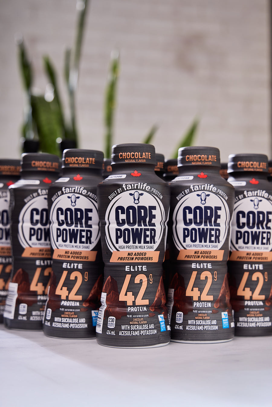 2025 - Core Power Elite Chocolate - Fairlife 42g High Protein Shake (12 Pack) - photo0
