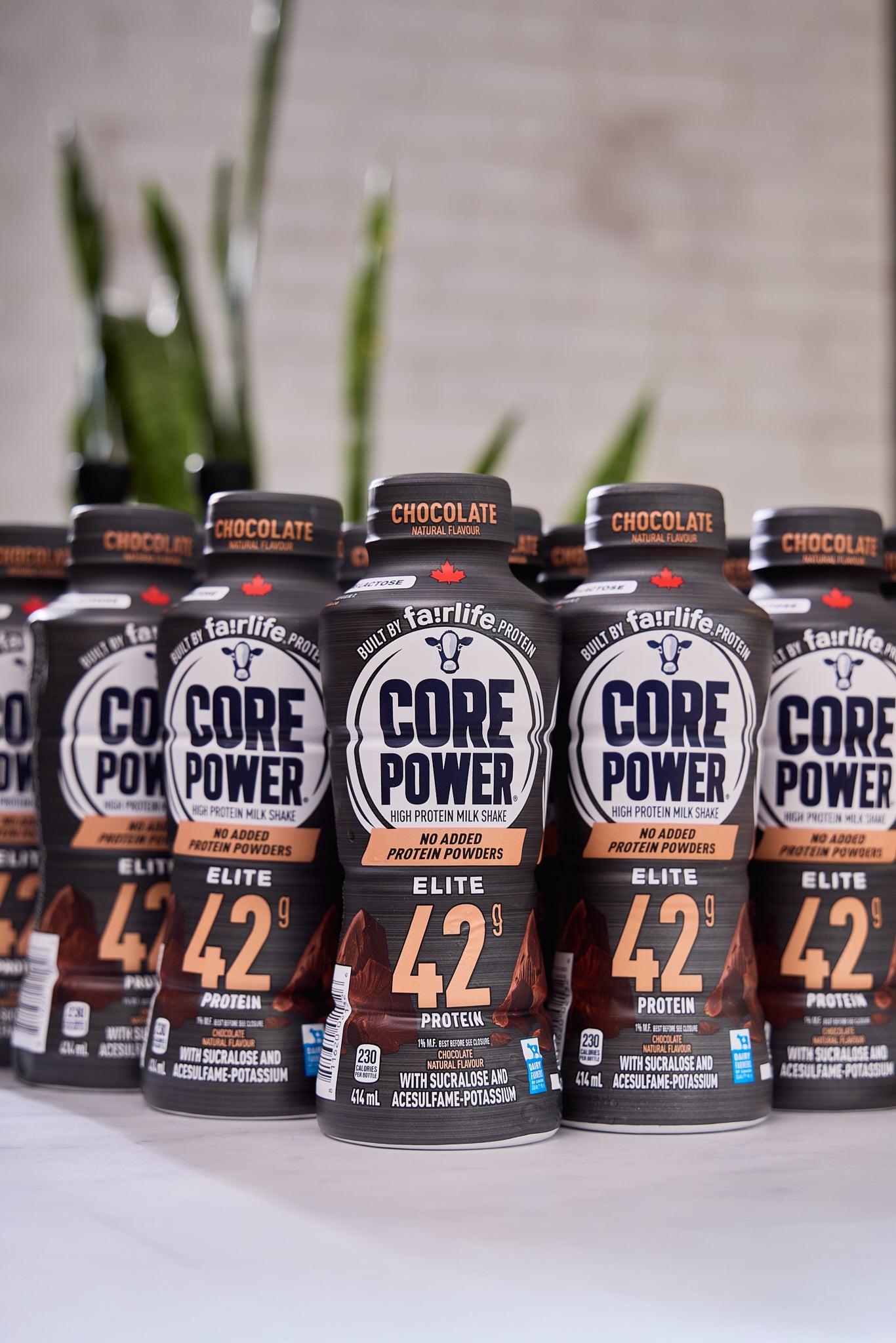 コアフィット　DEEP RISE by COREFIT 45g Core Power Fairlife Protein Shake Elite Chocolate | 42g Protein