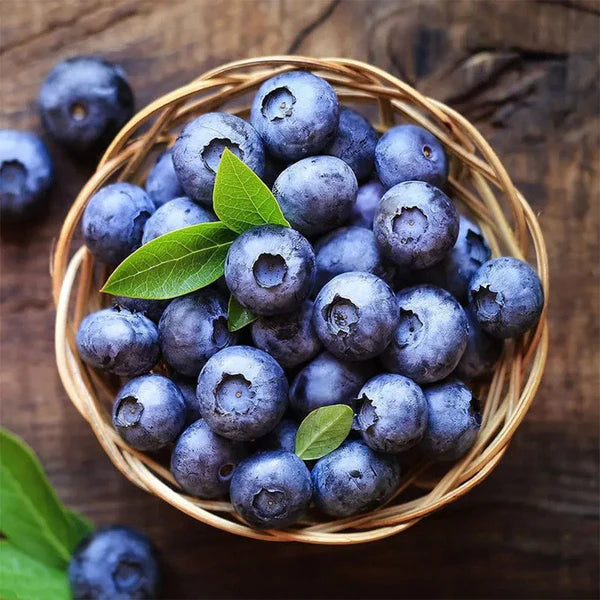 Fresh Blueberries (~340g)