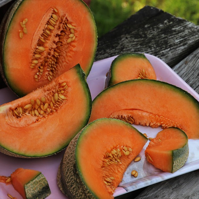 Fresh Cantaloupe Melon