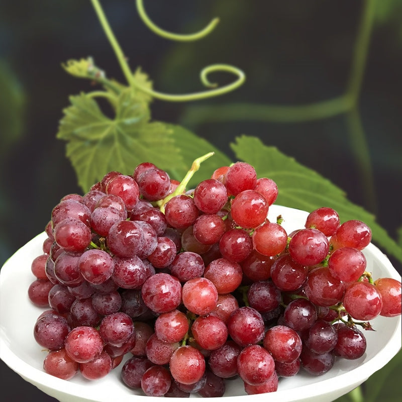 Red Seedless Grapes (~0.5kg)