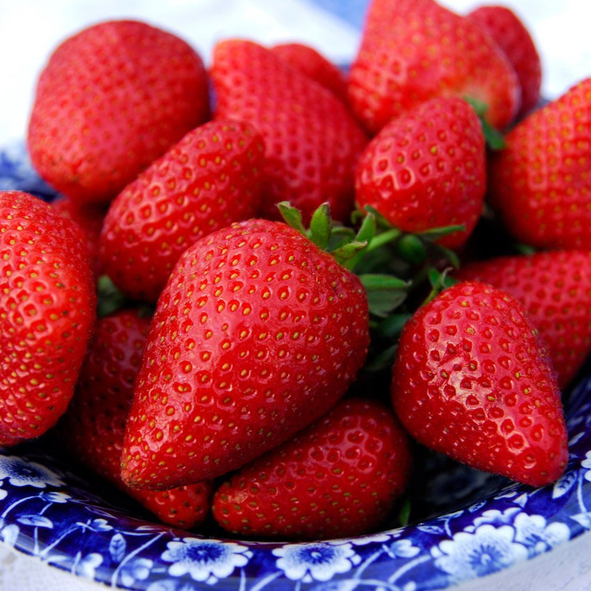 Fresh Strawberries (1lb)