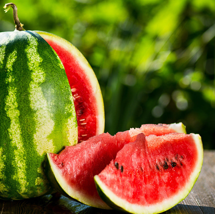 Mini Seedless Watermelon